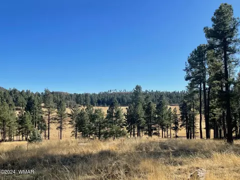 lot D County Road N2147, Alpine, AZ 85920