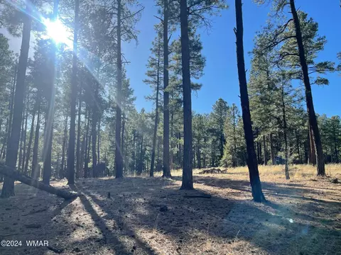 lot E County Road N2147, Alpine, AZ 85920