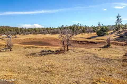3537 Forest Service Rd, Overgaard, AZ 85933 photo 16