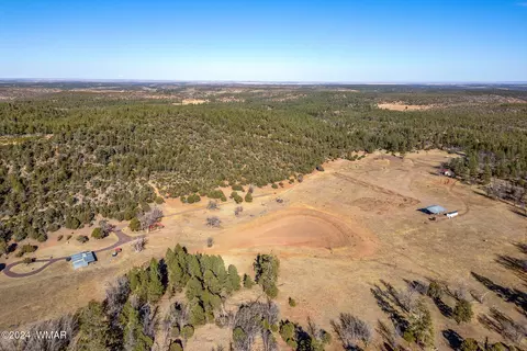 3537 Forest Service Rd, Overgaard, AZ 85933 photo 9