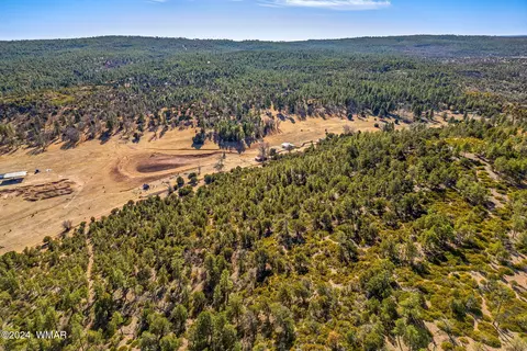 3537 Forest Service Rd, Overgaard, AZ 85933 photo 5