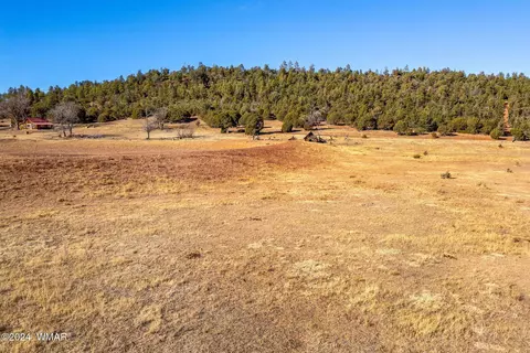 3537 Forest Service Rd, Overgaard, AZ 85933 photo 13
