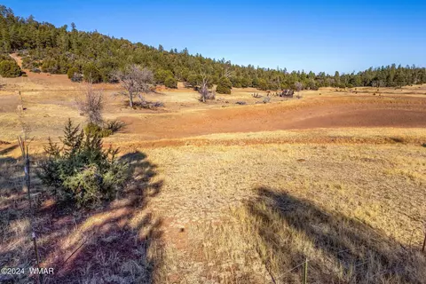 3537 Forest Service Rd, Overgaard, AZ 85933 photo 12