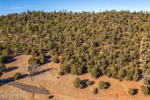 3537 Forest Service Rd, Overgaard, AZ 85933 photo 15