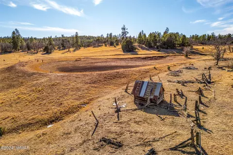 3537 Forest Service Rd, Overgaard, AZ 85933 photo 3