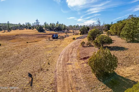 3537 Forest Service Rd, Overgaard, AZ 85933 photo 14