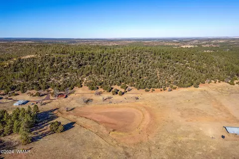 3537 Forest Service Rd, Overgaard, AZ 85933 photo 4