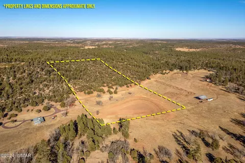 3537 Forest Service Rd, Overgaard, AZ 85933 photo 2