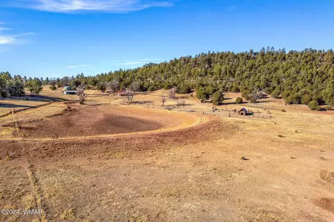 3537 Forest Service Rd, Overgaard, AZ 85933 photo 11