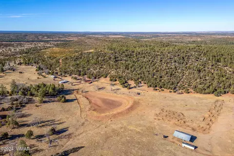 3537 Forest Service Rd, Overgaard, AZ 85933 photo 8