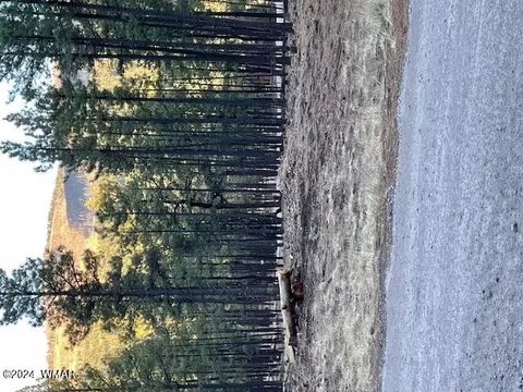 3 N 1025 St, Greer, AZ 85927
