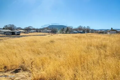 441 N West St, Springerville, AZ 85938