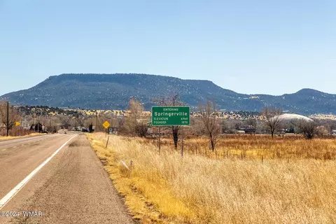 441 N West St, Springerville, AZ 85938 photo 17