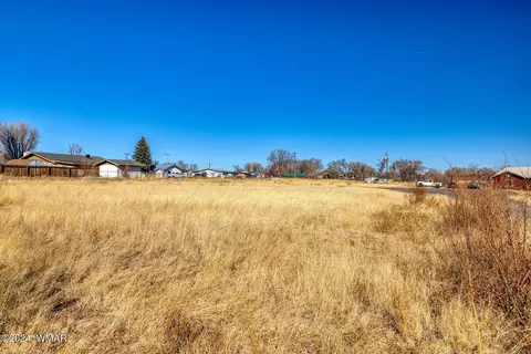 441 N West St, Springerville, AZ 85938 photo 12