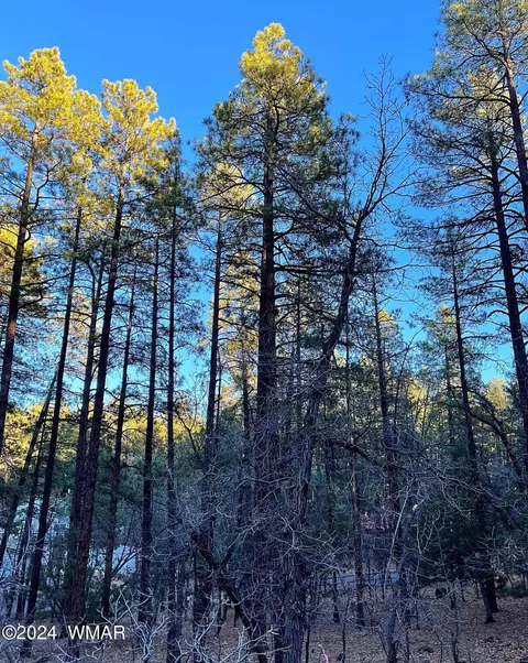 2810 Wapiti Ln, Pinetop, AZ 85935