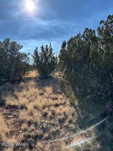 8429 Navajo Dr, Show Low, AZ 85901