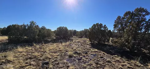 8716 Richard Rd, Show Low, AZ 85901