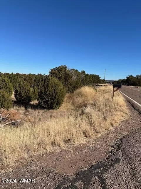 8632 Silver Creek Dr, Show Low, AZ 85901