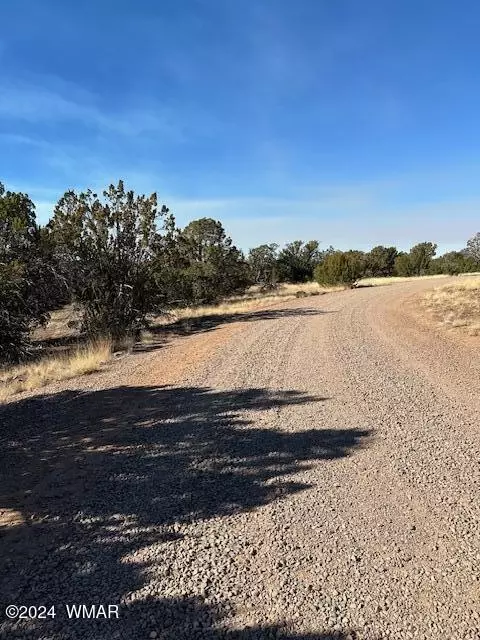 8314 Silver Creek Dr, Show Low, AZ 85901