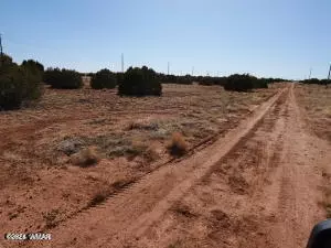 tbd Richard Dr 224b Dr, Snowflake, AZ 85937
