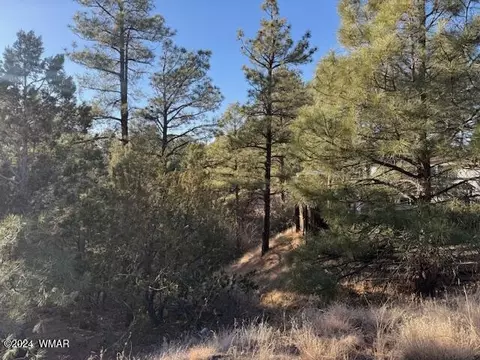 2561 W Rogers Cir, Show Low, AZ 85901