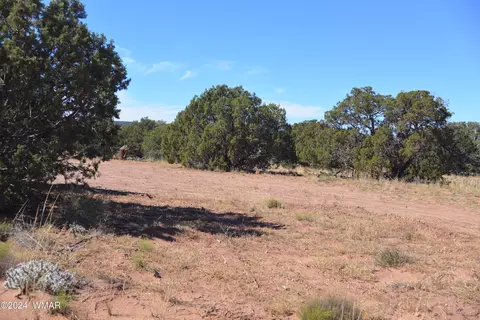 4199 S Pinto Rd, Snowflake, AZ 85937