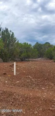 6 County Rd, Vernon, AZ 85940