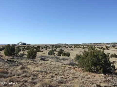tbd W Rencher Ave 032, Snowflake, AZ 85937 photo 5
