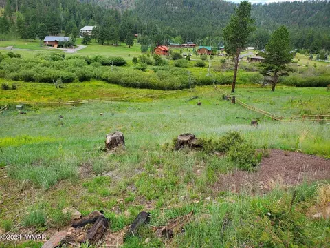 22 Lot Greer Mountain Dr, Greer, AZ 85927