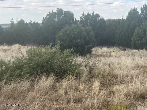 8422 Navajo Dr, Show Low, AZ 85901