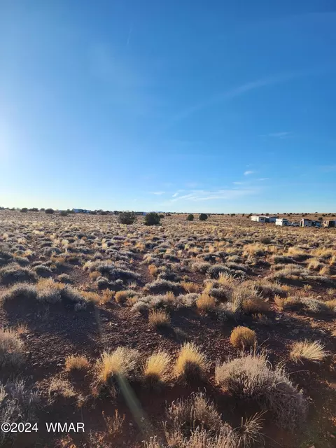 5316 Lee Rd, Snowflake, AZ 85937 photo 3