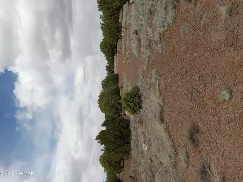 tbd Grand View Parcel 304-38-006h, Show Low, AZ 85901