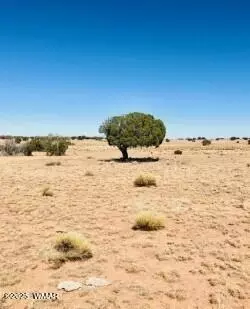 tbd N 6425, Saint Johns, AZ 85936