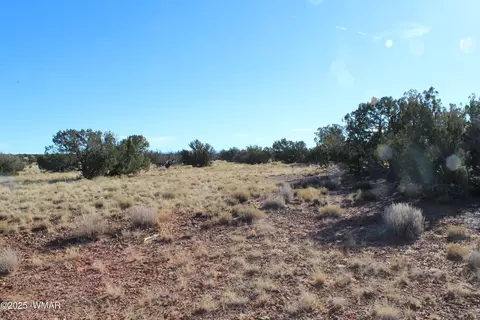 lot20 County Road 5152, Concho, AZ 85924