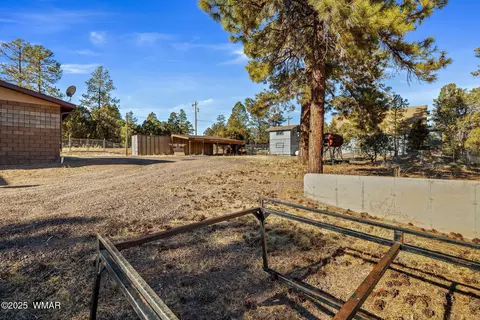 Undisclosed, Overgaard, AZ 85933 photo 22