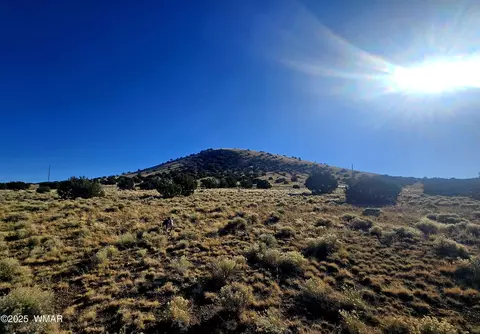 lot95 Fig Dr, Concho, AZ 85924