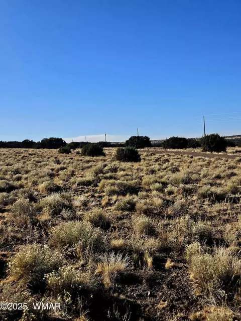 lot133 Circle Dr, Concho, AZ 85924