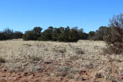 1924 Hutch Rd, Heber, AZ 85928