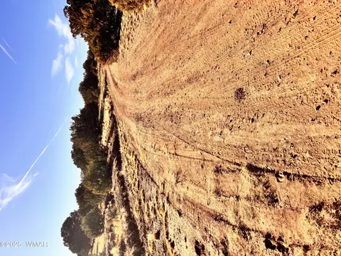 9329 Lazy O Sw Corner Ln, Show Low, AZ 85901