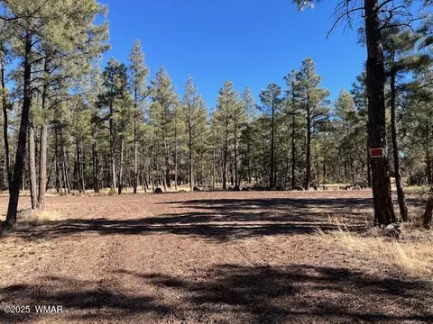 0 Lot C Tbd Gold Mine Rd, Lakeside, AZ 85929