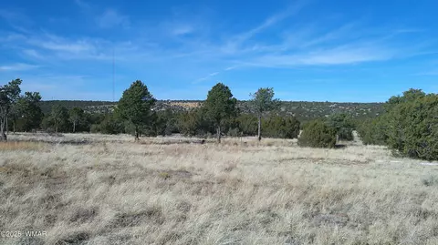 18 County Road 8021, Concho, AZ 85924