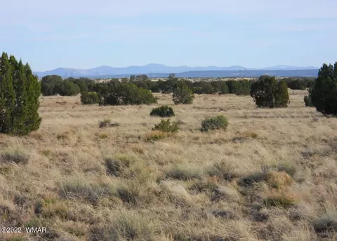 19 County Rd, Concho, AZ 85924