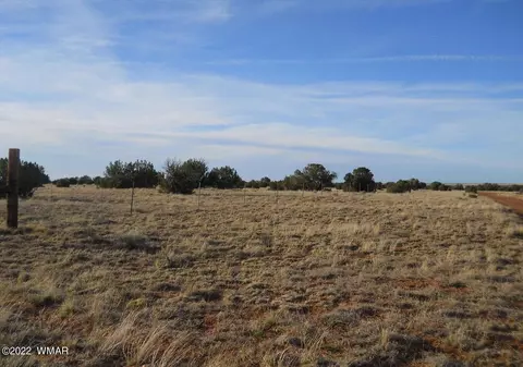 19 County Rd, Concho, AZ 85924 photo 2
