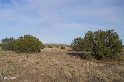 19 County Rd, Concho, AZ 85924 photo 3