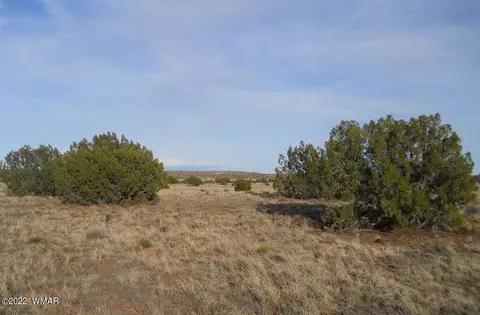 19 County Rd, Concho, AZ 85924 photo 5