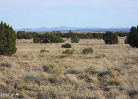 19 County Rd, Concho, AZ 85924