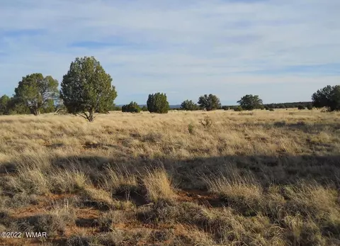 19 County Rd, Concho, AZ 85924 photo 4
