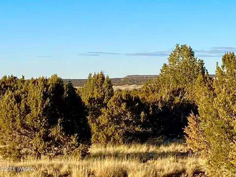 8418 Ridge Dr, Show Low, AZ 85901