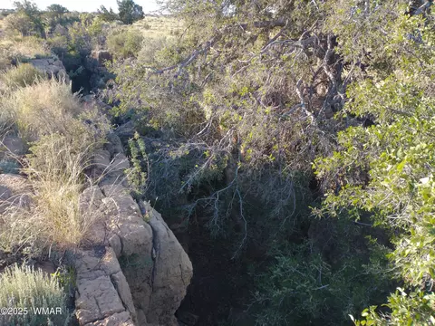lot682 Chevelon Canyon Rnch, Heber, AZ 85928