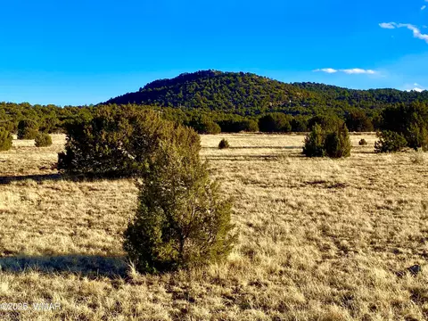 9 Co Rd 3043, Vernon, AZ 85940